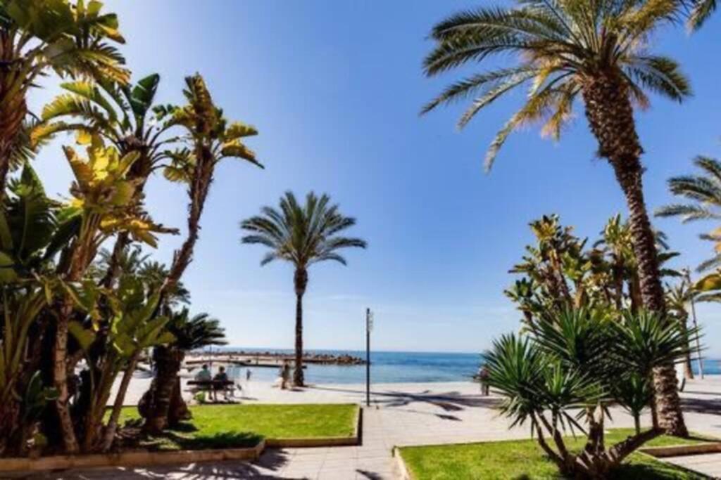 Penthouse Ramon G-Playa Del Cura Apartamento Torrevieja Exterior foto